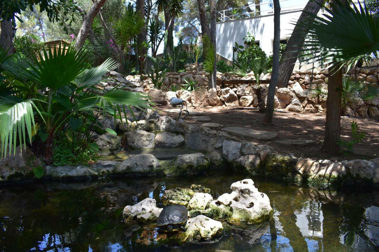 Villa Garden Ταραγόνα Εξωτερικό φωτογραφία